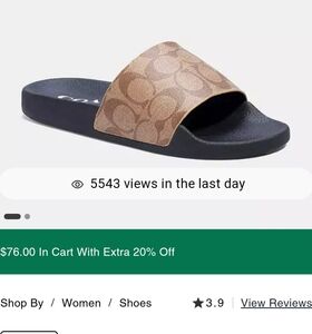 Coach slides